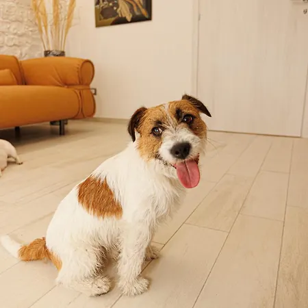 Гостевой дом Monia Rooms&hospitality